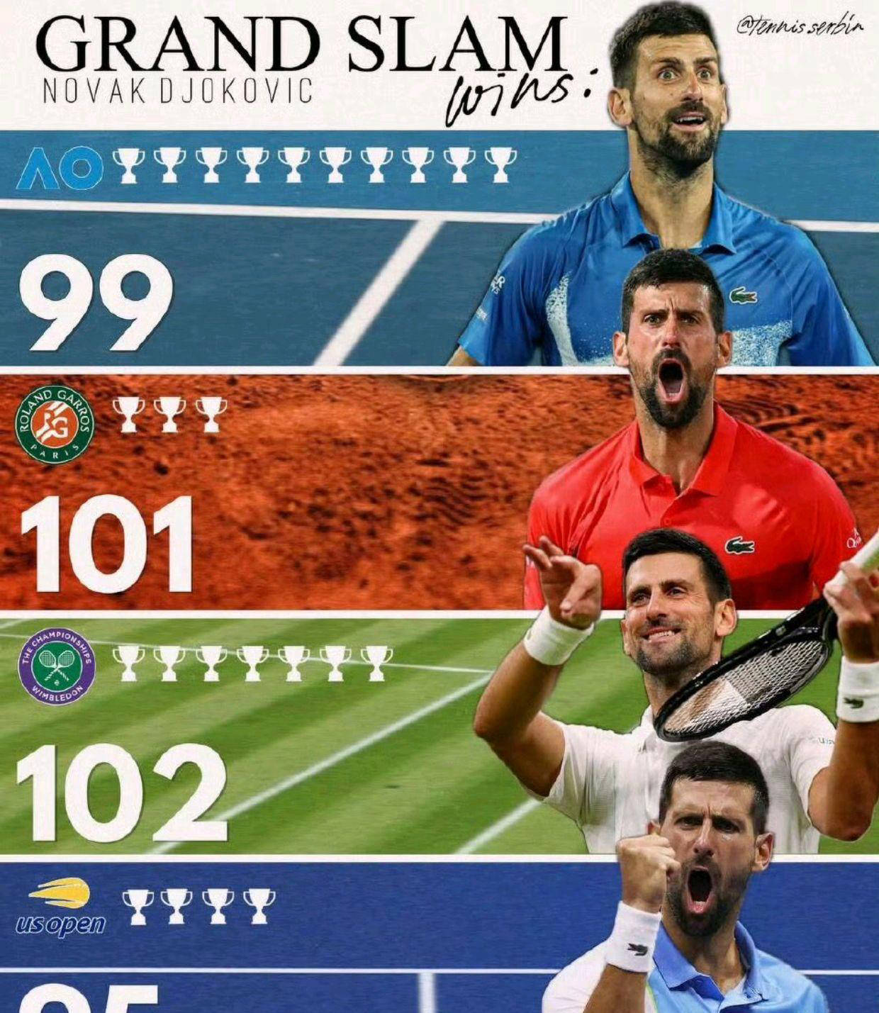 问鼎娱乐- 德约科维奇回塞尔维亚庆祝夺金 